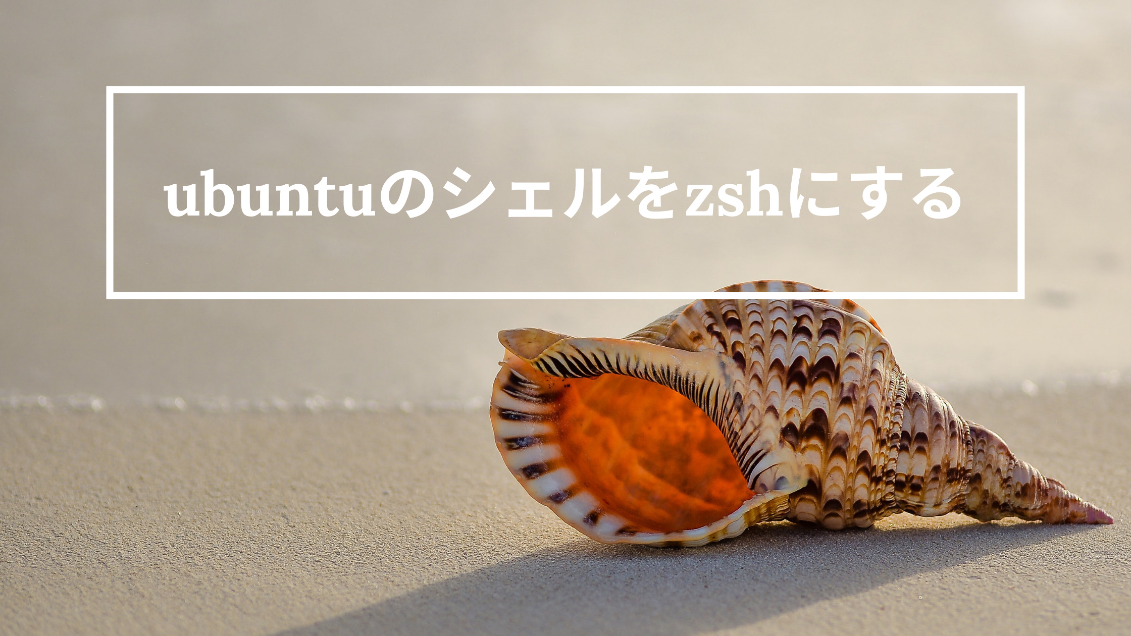 ubuntuのシェルをzshにする
